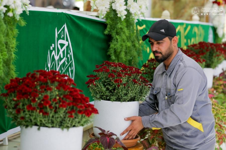 Heiliger Schrein Imam Alis (a.) zum Geburtstag des Propheten Muhammad (saw) mit Blumen geschmückt+ Bilder