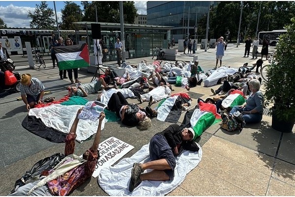 Demonstration Anhänger Palästinas gegen Schweizer Außenminister + Foto