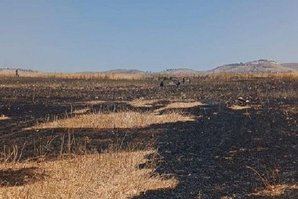 Vom Protest der Angehörigen der zionistischen Gefangenen bis In Brandsetzen Ackerland Palästinas