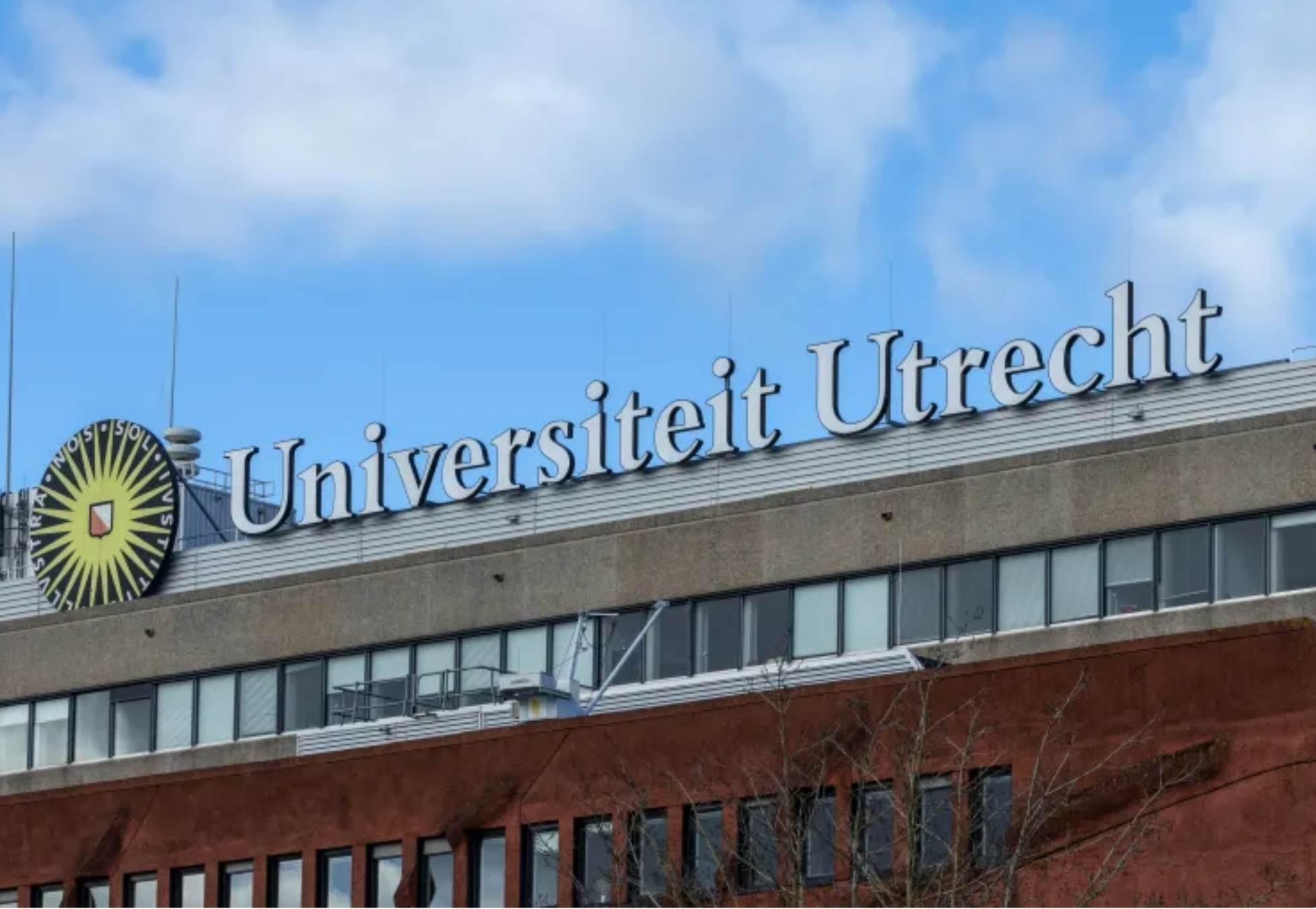 Das ungewisse Schicksal der Arabistik und Islamwissenschaften an europäischen Universitäten