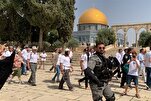 Neuer Übergriff von Zionisten auf Al-Aqsa-Moschee