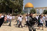 Reaktion Ägyptens und Katars auf rechtswidrige Aktion der Zionisten in der Al Aqsa Moschee