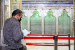 Koranlesung findet täglich im Schrein von Abdul Azim Hasani (as) statt