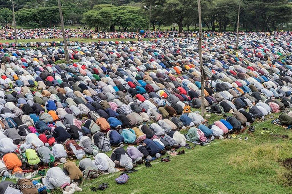 Millionen Muslime weltweit feiern Opferfest