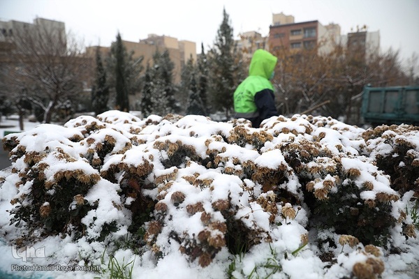 Teheran trägt ein weißes Kleid