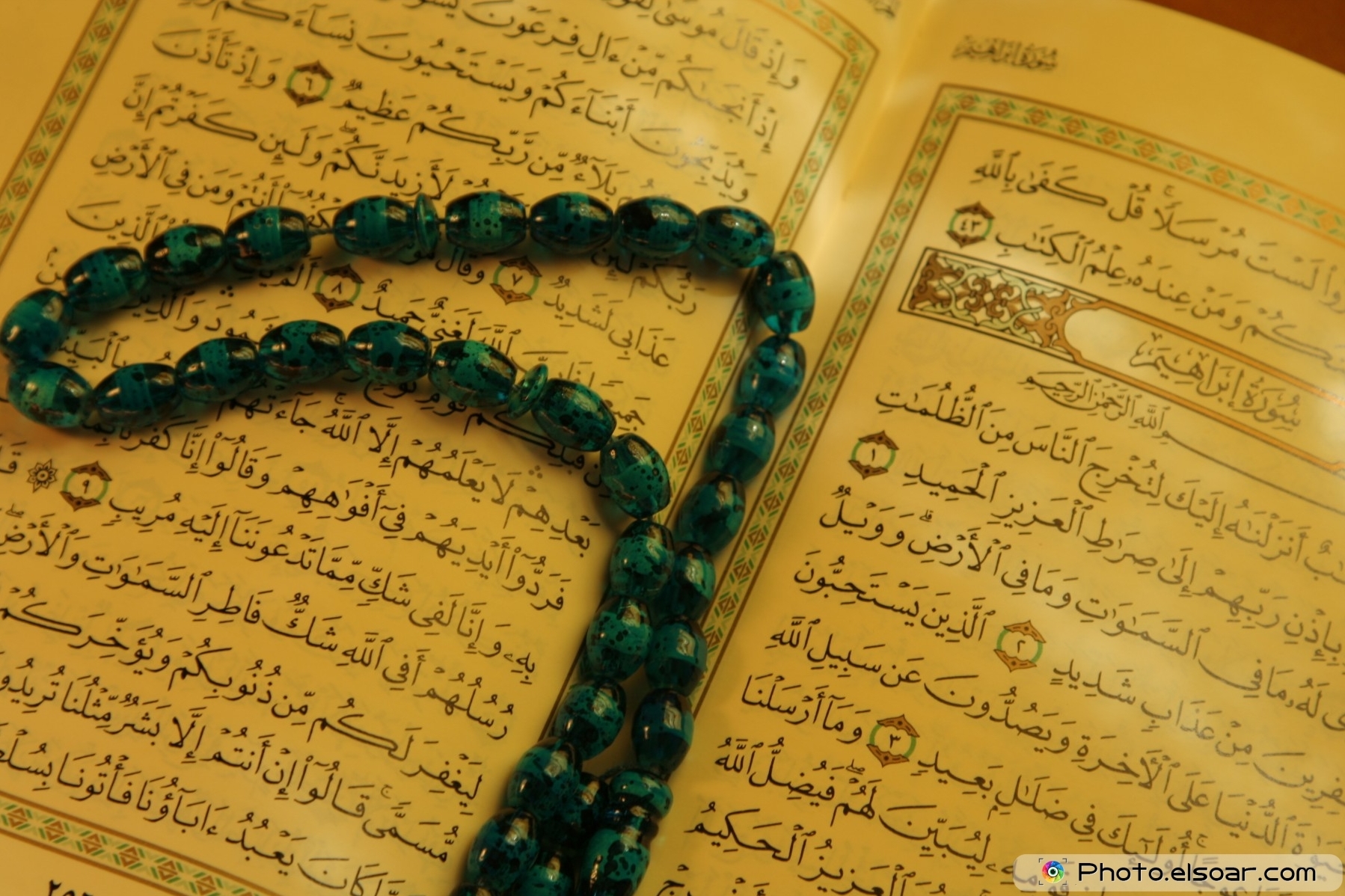 Never Too Late to Memorize Holy Quran Never Too Late to Memorize Holy Quran
