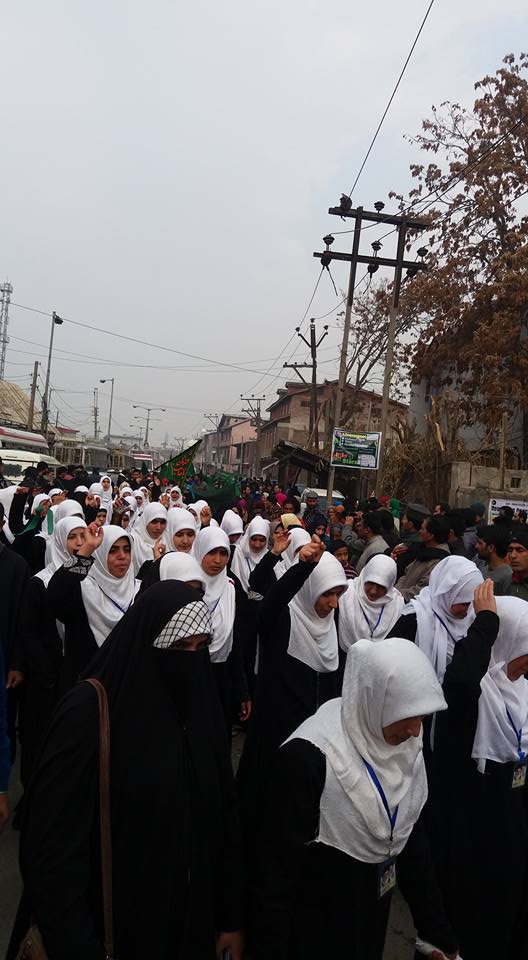 Shia Muslims in Nigeria, Kashmir Rally in Solidarity with Sheikh Zakzaky