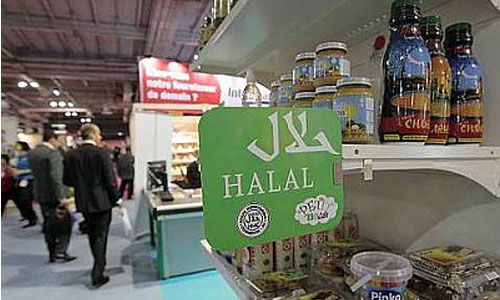 Halal Food for Muslim Travelers in Japan