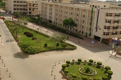 Quran and Moderation Seminar Starts in Egypt