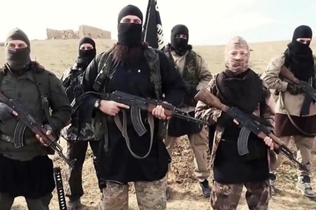 UN study finds foreign fighters in Syria 'lack basic understanding of Islam'