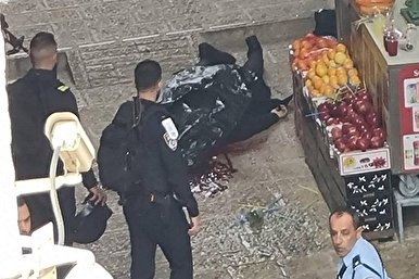 Shooting in Al-Quds Leaves 7 Zionists Injured: Report