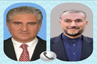 Iranian, Pakistani FM Discuss Muslim World Affairs, Bilateral Ties