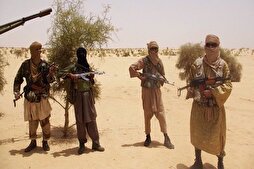 Al-Azhar Warns of Growing Activities of Terrorists in Mali