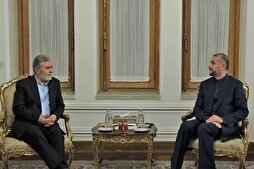 Tehran Reaffirms Commitment to Palestinian Cause
