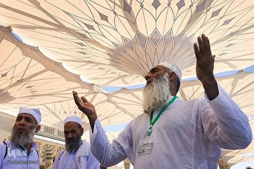 Prophet Mosque in Medina: A Photo Gallery