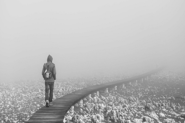 Wisdom and ignorance