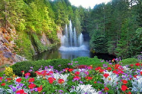 Paradise on earth