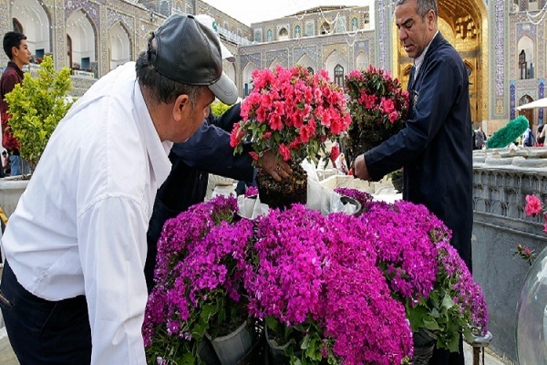 Holy Shrine of Imam Reza Decorated with 153,000 Flowers  