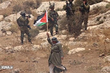 Illegal Settlement Expansion: Palestinians Confront Israeli Forces