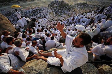 Pilgrims Observe Hajj Rituals on Day of Arafah
