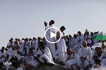 Imam Hussein And Essence of Arafah