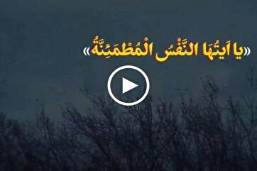 Surah Fajr, Surah of Imam Hussein