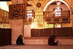 Quranic Teachings Deeply Reflected in Rumi’s Poetry, Scholar Says