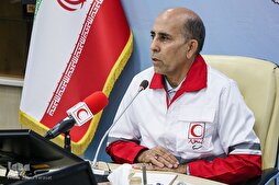 Iranian Medical Clinics Closed in Medina: Official