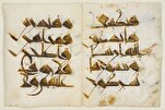 Rare Early Quranic Scrolls in Kairouan Library Trace Back to 9th–11th Centuries