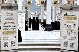 Mecca Grand Mosque Hosting Quranic Circles for Women