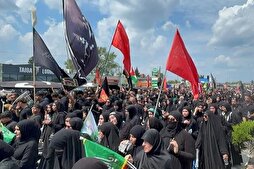 Michigan Man Arrested Over Threats Against Arbaeen Procession