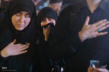 Photos: When Arbaeen Pilgrims See Karbala Shrines