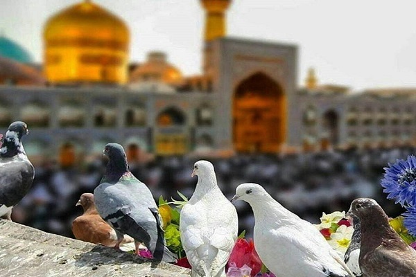 The holy shrine of Imam Reza (AS) in Mashhad, Iran