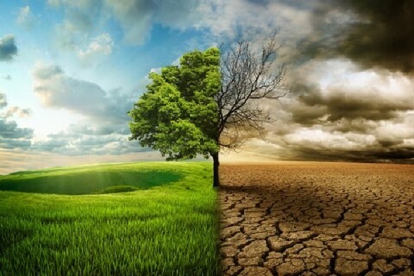 Islam lays emphasis on protecting the environment.