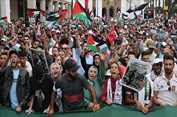Tunisian, Moroccan Protests Continue against Israeli Genocide in Gaza