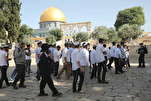 Judaization Attempts at Al-Aqsa Mosque Denounced