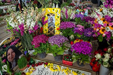 Spring Blossoms on Martyrs’ Graves