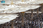 Quranic Recitation Initiative for Women Launched at Prophet's Mosque in Medina