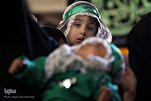 ‘Husseini Infants’ Processions Slated for Friday