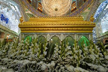 Imam Ali Shrine Cleaned, Decorated with Flowers on Eve of Eid