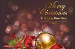Cristianos, musulmanes, hindúes y budistas intercambian saludos de Navidad en Dhaka