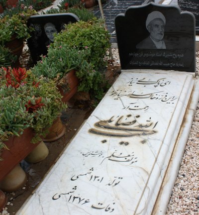 تجلی فضائل در سیمای حبیب خطه خط