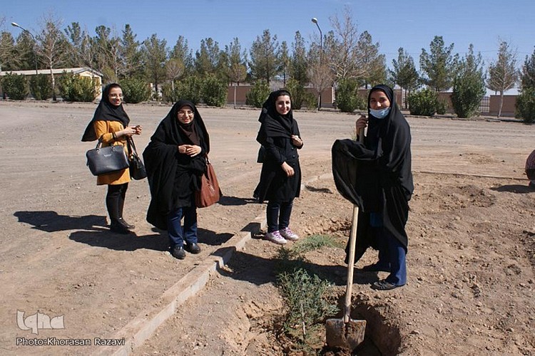 در حال تکمیل////درختکاری در جامعه امروز یک ضرورت است