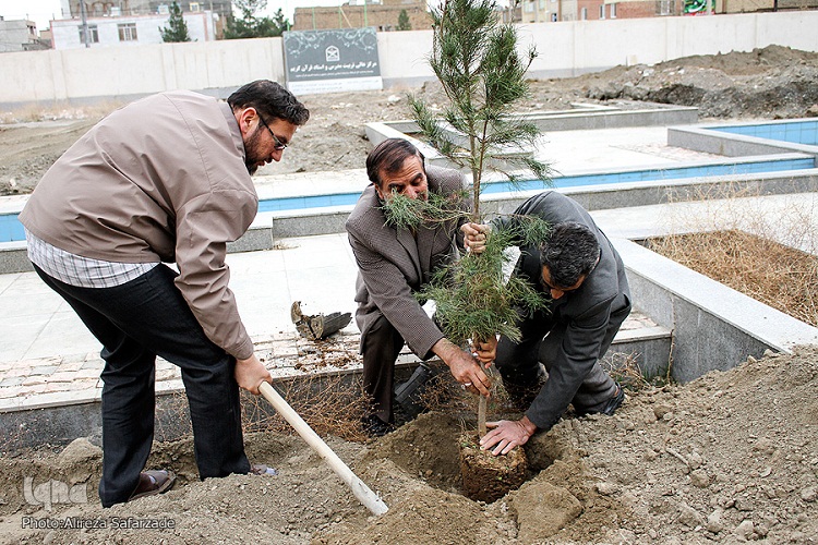 غرس 100 اصله نهال به یاد بزرگان وشهدای قرآنی