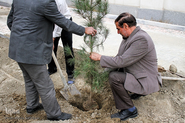 غرس 100 اصله نهال به یاد بزرگان وشهدای قرآنی