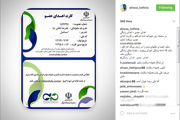 علیرضا لطفی نیا علیرضا لطفی نیا