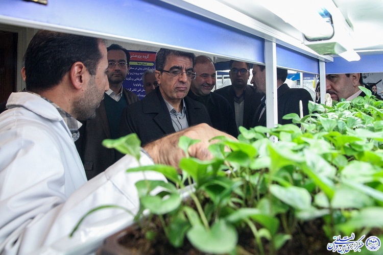بازدید معاون پژوهشی وزارت علوم از جهاددانشگاهی خراسان رضوی