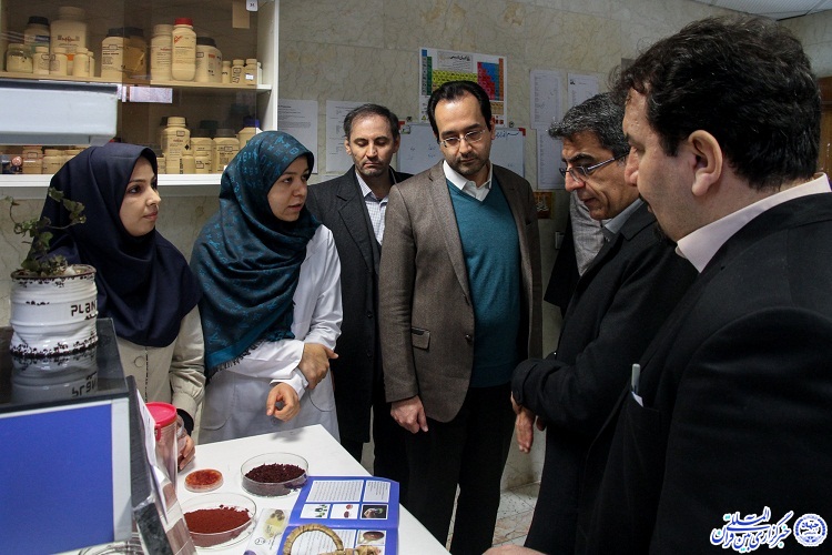 بازدید معاون پژوهشی وزارت علوم از جهاددانشگاهی خراسان رضوی