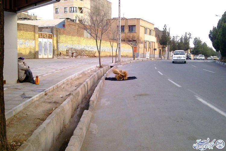 پیرزن جارو فروش و کسب روزی حلال در سرمای زمستان پیرزن جارو فروش و کسب روزی حلال در سرمای زمستان