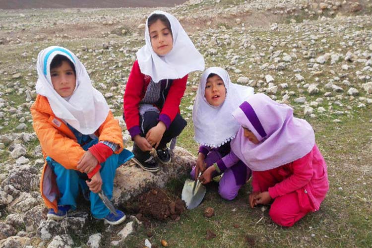 کاشت بلوط توسط دانش‌آموزان طرهانی + عکس